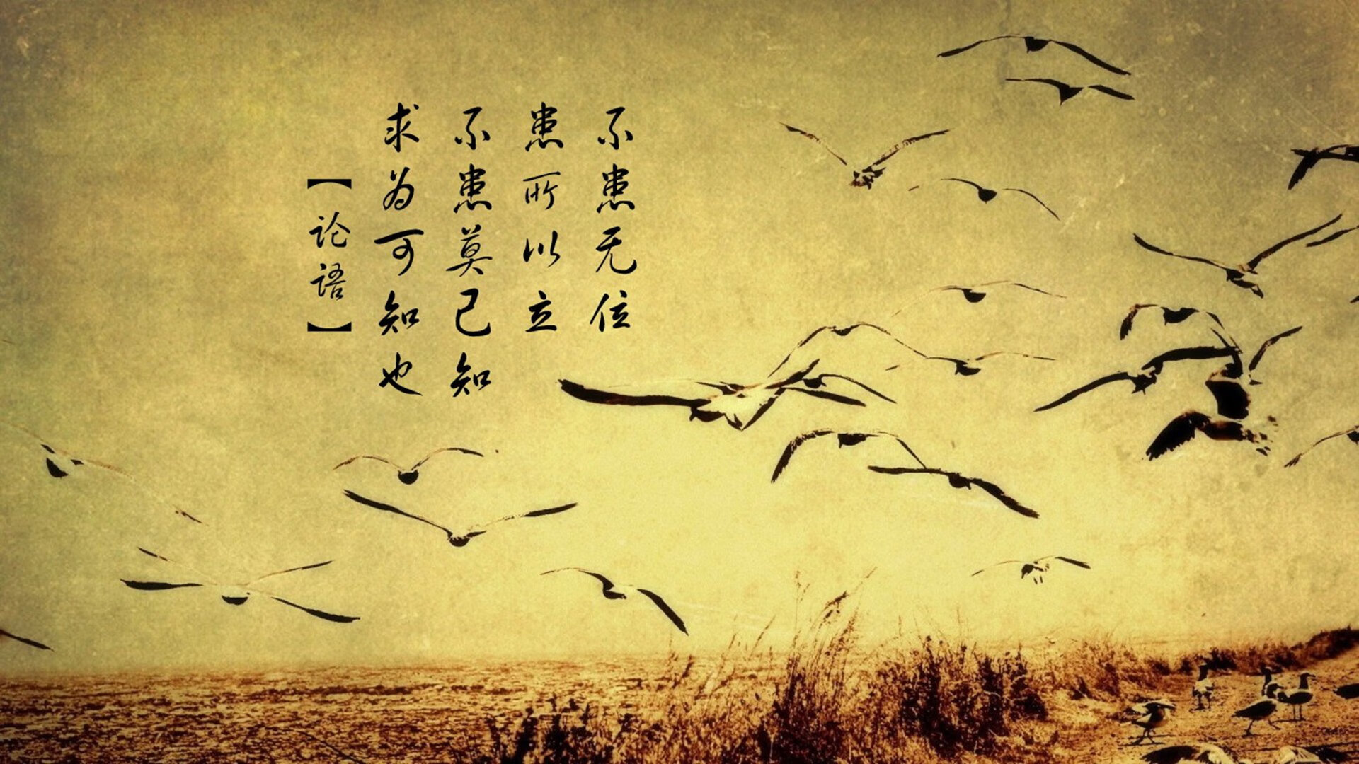 九游网页版官网-_趣味障碍跑：趣味与挑战兼得_，趣味障碍赛作文