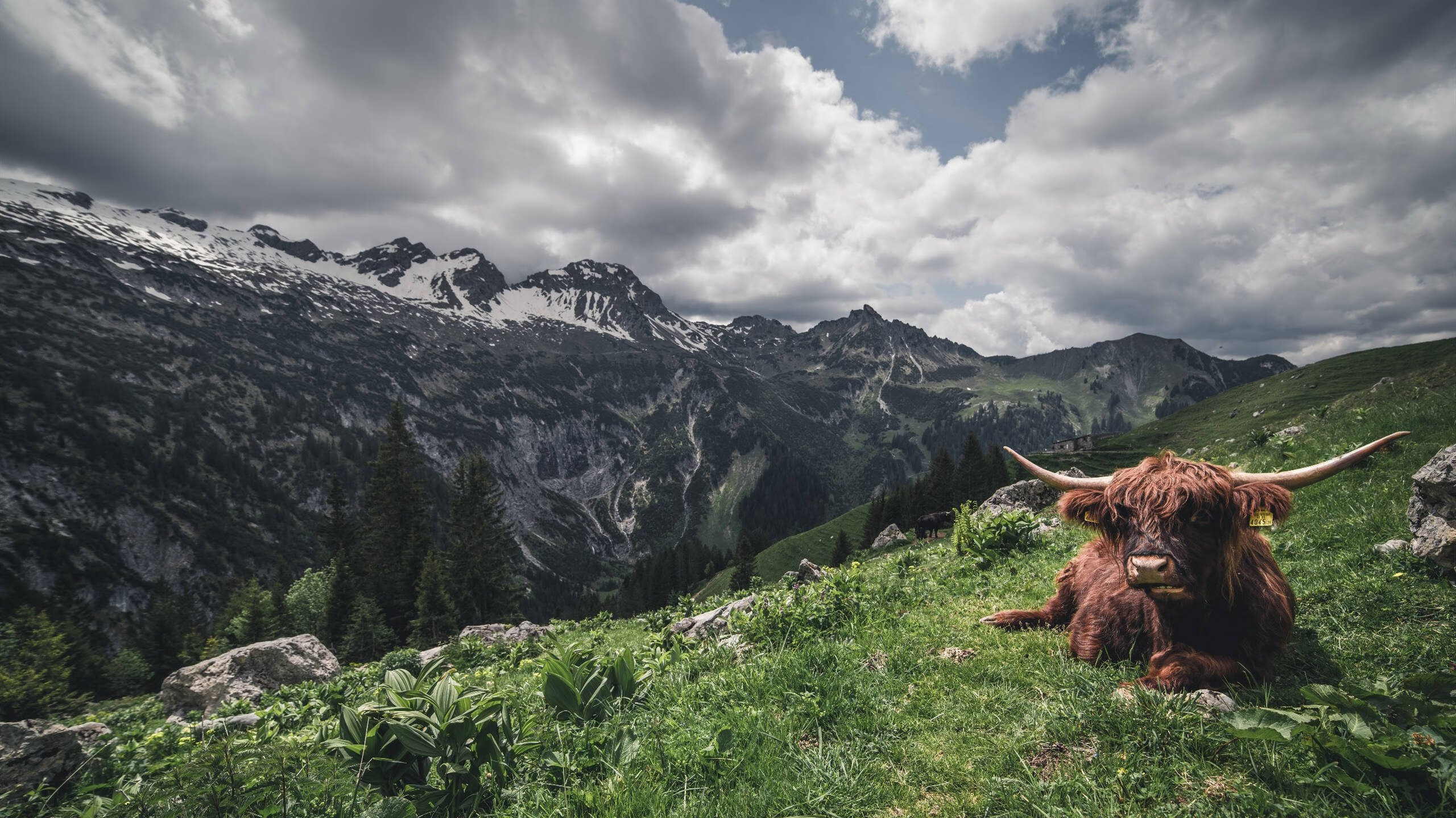 九游游戏中心官网-_骑士年轻核心持续爆发，未来可期_，骑士king