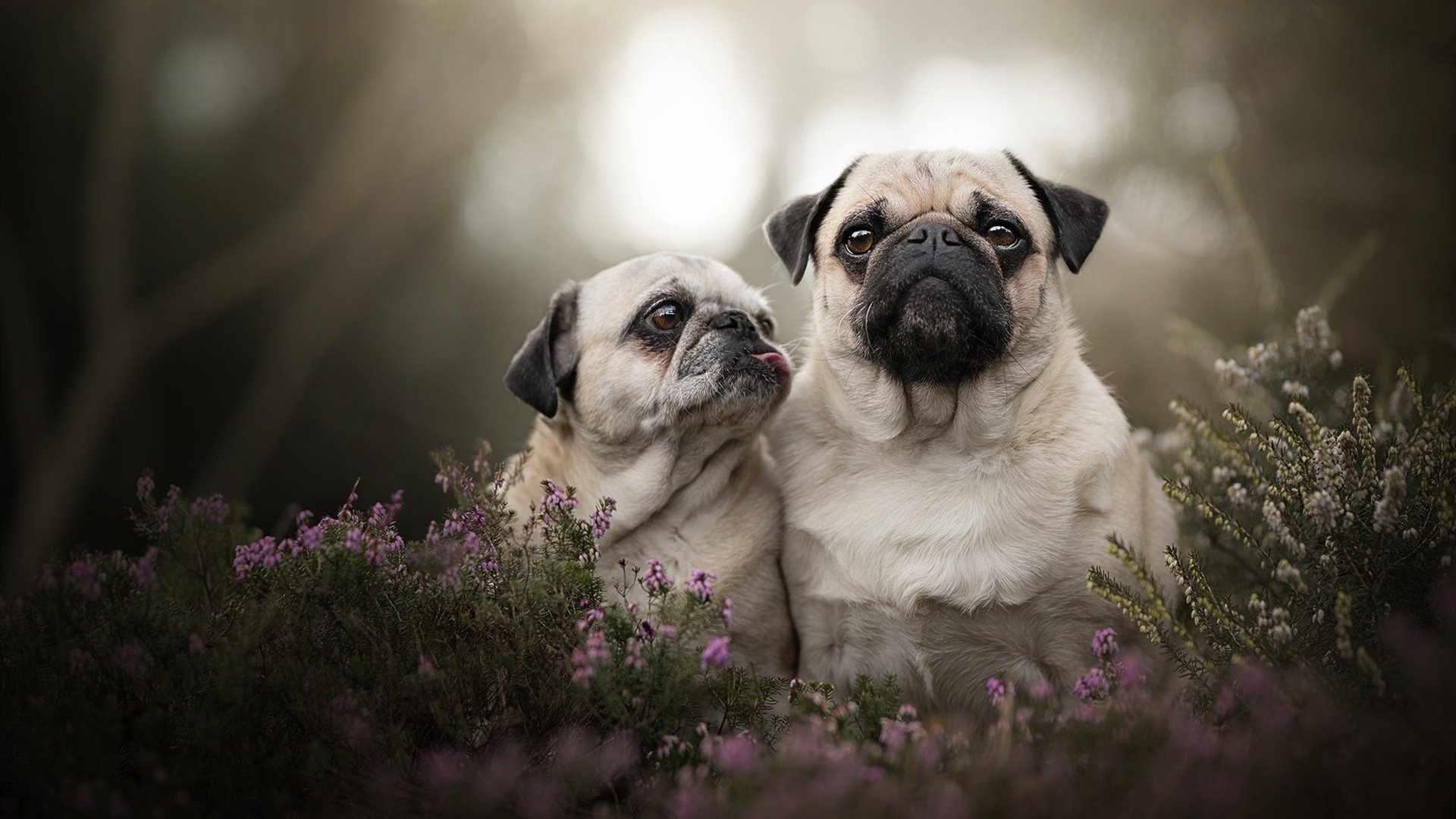 详细阅读:九游9游-东京马拉松中国选手破纪录,刷新亚洲最佳,东京马拉松男子前三名 九游9游-东京马拉松中国选手破纪录,刷新亚洲最佳,东京马拉松男子前三名
