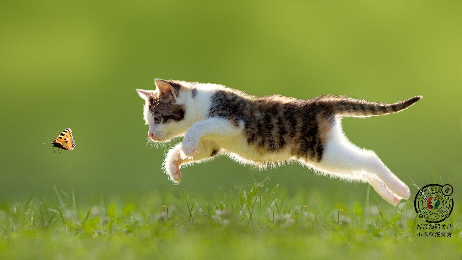 九游(jiuyou)官方网站-篮球明星效应推动赛事观众增长,明星篮球明星