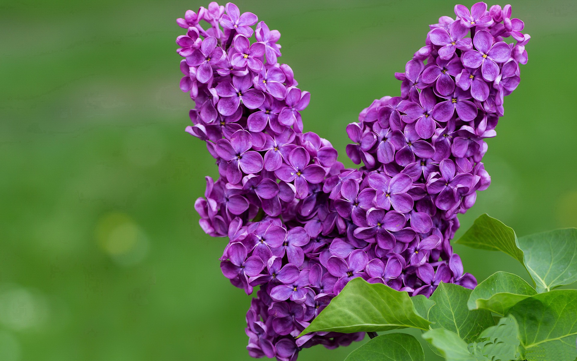 九游网页版官网-青少年“篮动青春”体育舞蹈大赛在上海精彩落幕，2020上海青少年篮球比赛