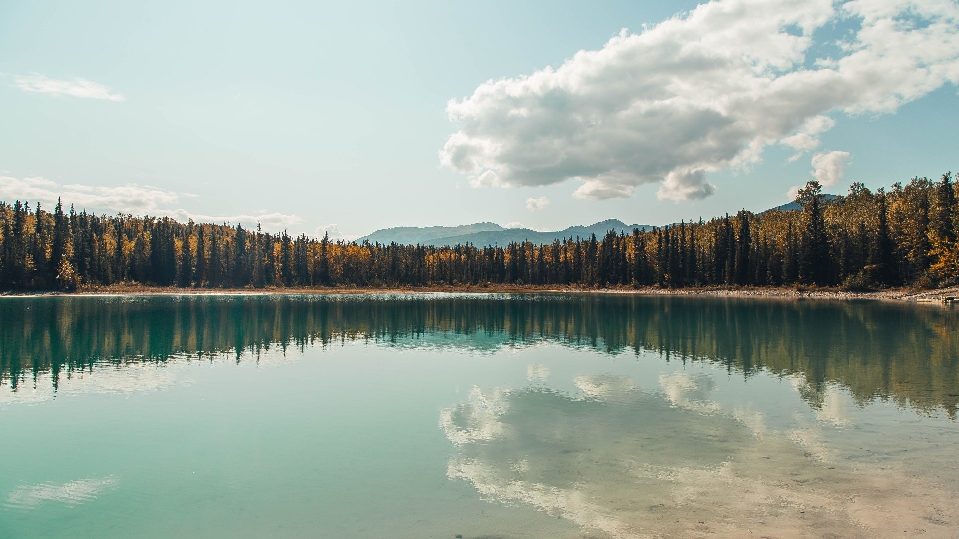 九游(jiuyou)官方网站-亚洲篮球裁判培训提升专业水平，篮球裁判培训课程