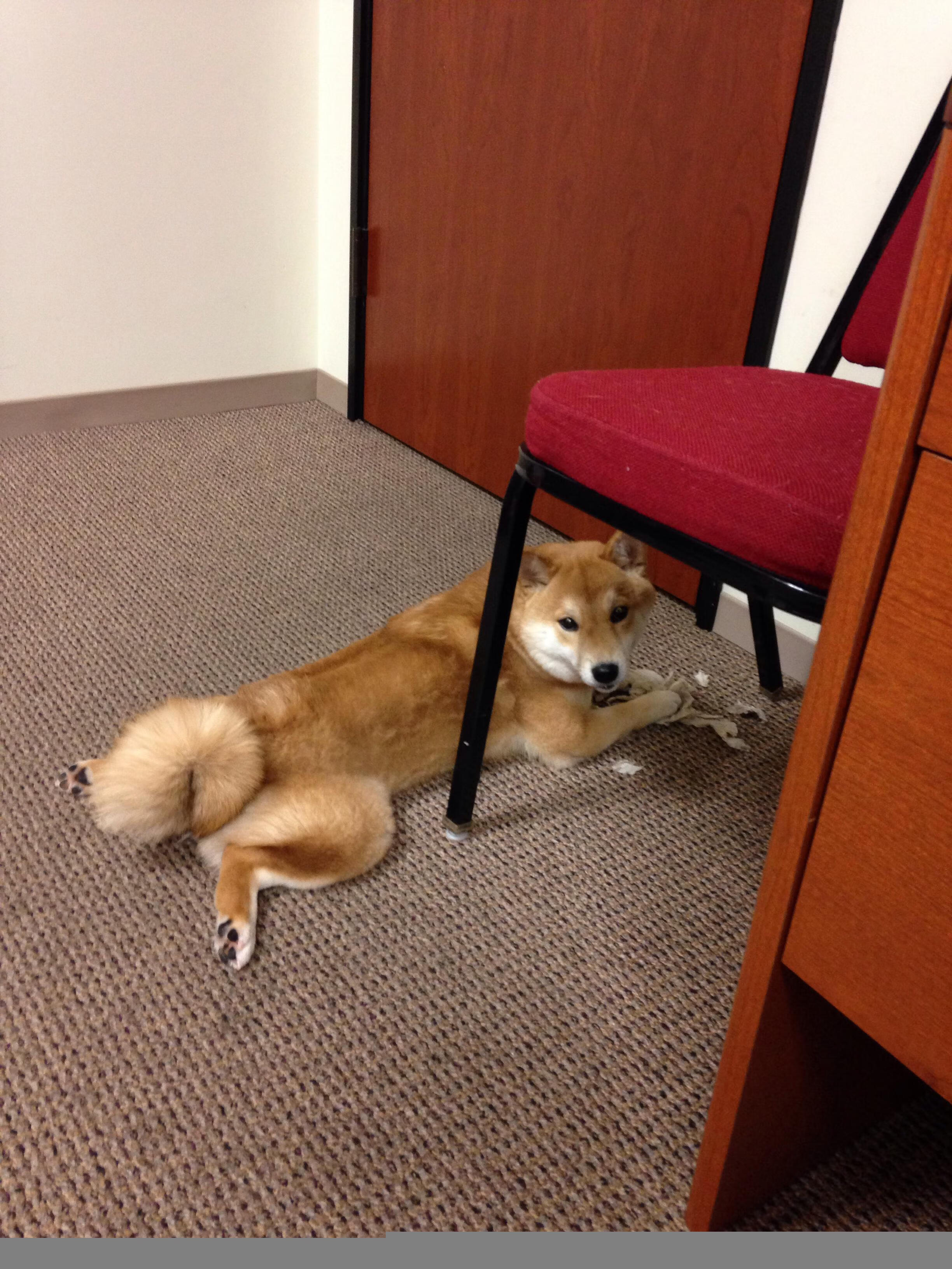 九游jiuyou-博卡青年球员获月度最佳,博卡青年队竞技的比分预测