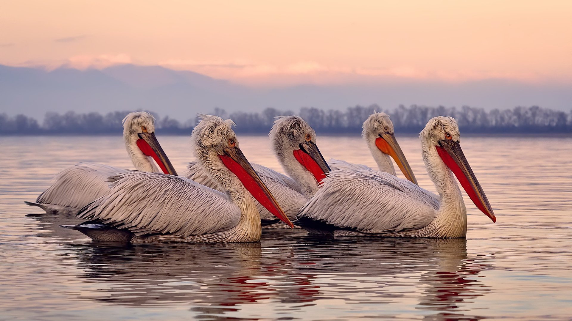 九游网页版官网入口-是否应制定球员转会透明化新规，球员转会窗口