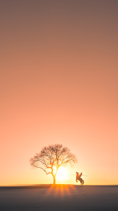 九游电脑版-球队备战应对突发情况,女足比赛紧急调整,女足比赛分析
