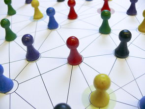 九游娱乐官网 (jiuyou)-中国篮球青训教练员能力提升路径，篮球青训师的待遇怎么样