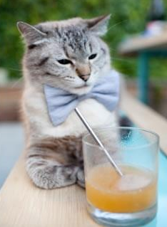 九游APP官网-中国女篮优化轮换结构保障比赛强度，中国女篮晋级形势