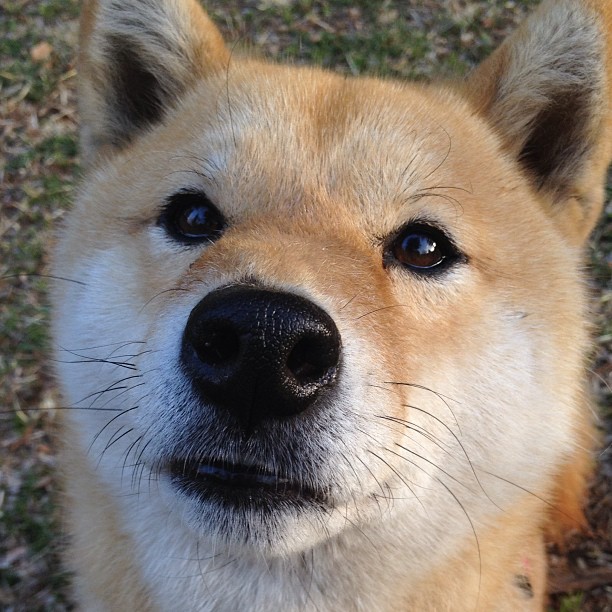 JIUYOU GAMING-国字号梯队注重身体素质测试提升队伍整体硬度