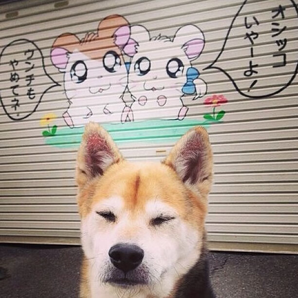 九游下载中心-哈登持球突破造杀伤连续得分，哈登突破集锦高清