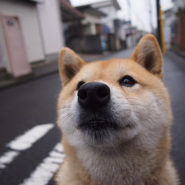 九游app下载中心-安东·李恩:他的传球精准无误,是全黑队进攻中不可缺少的一环