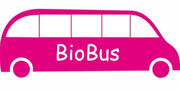 九游娱乐(jiuyou)官方网站-意甲联赛的绿色可持续发展，意甲联赛啥意思