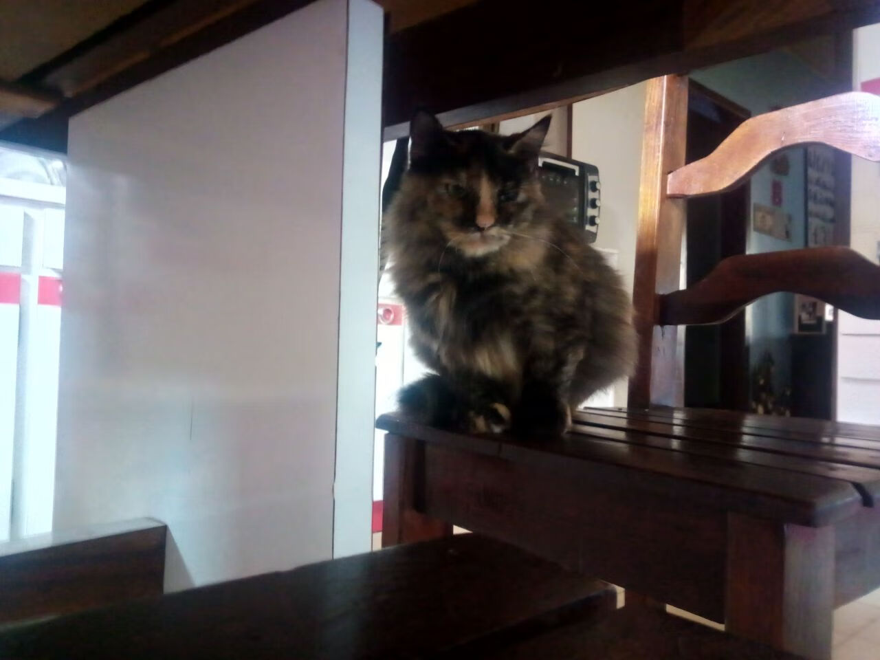 九游登录中心-日本男篮在亚洲锦标赛中表现优异,期待奥运突破,日本男篮亚洲杯