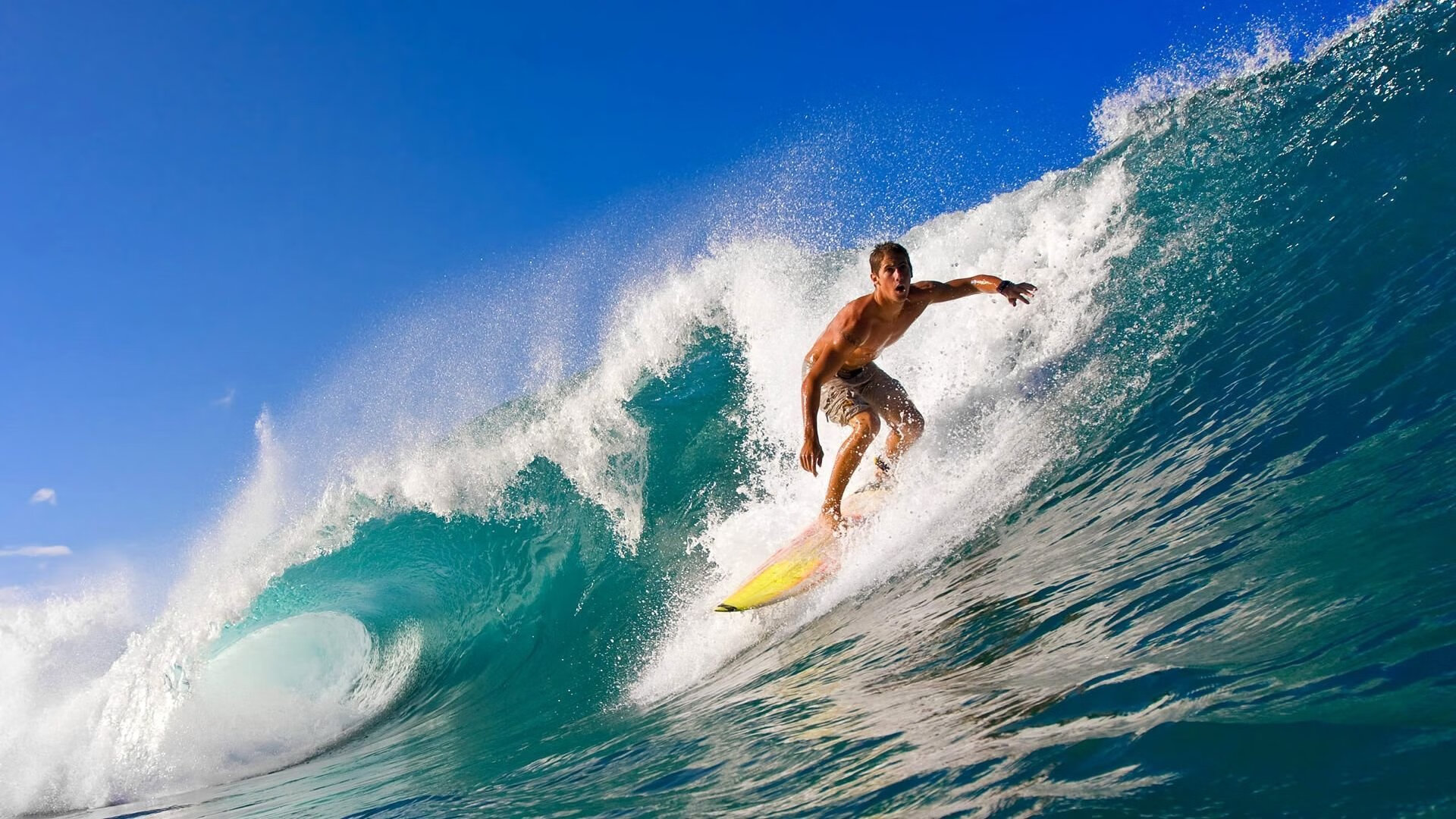 团队精神：冠军车队的铁血纪律，车队团结力量大